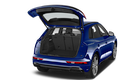 trunk