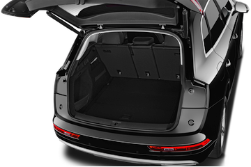 trunk