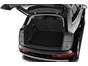 trunk
