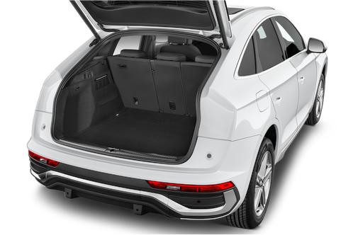 trunk