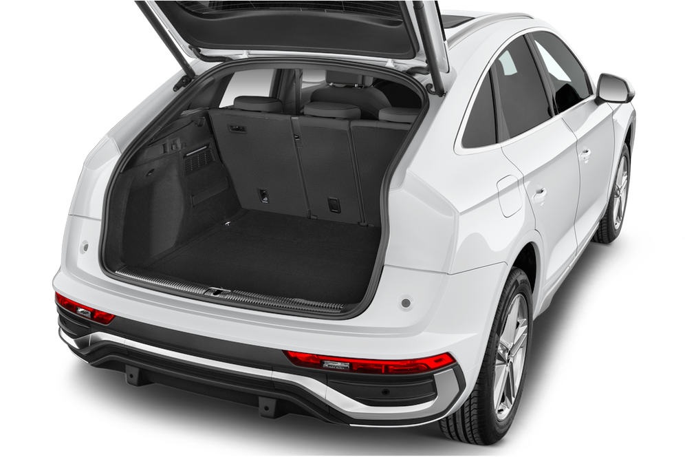 trunk