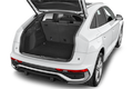 trunk