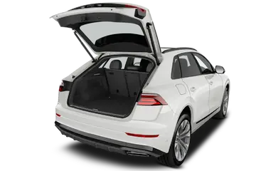 trunk