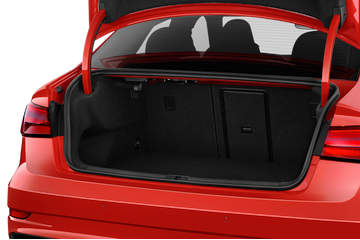 trunk