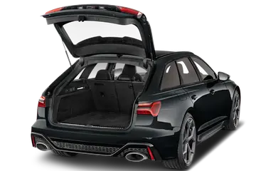 trunk
