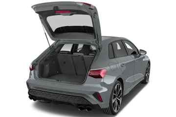 trunk