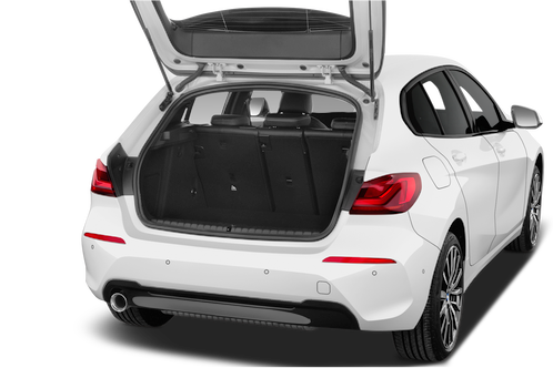 trunk