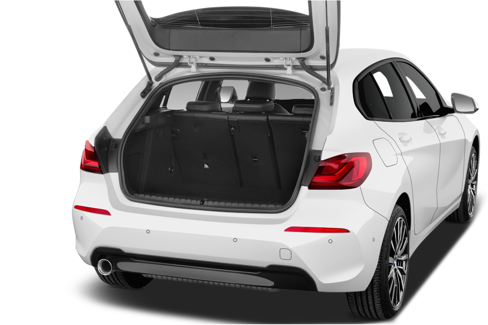 trunk