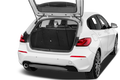 trunk