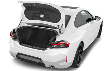 trunk