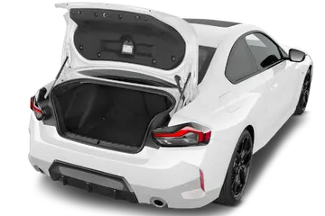 trunk