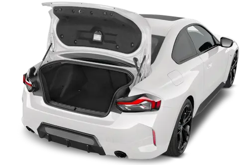 trunk