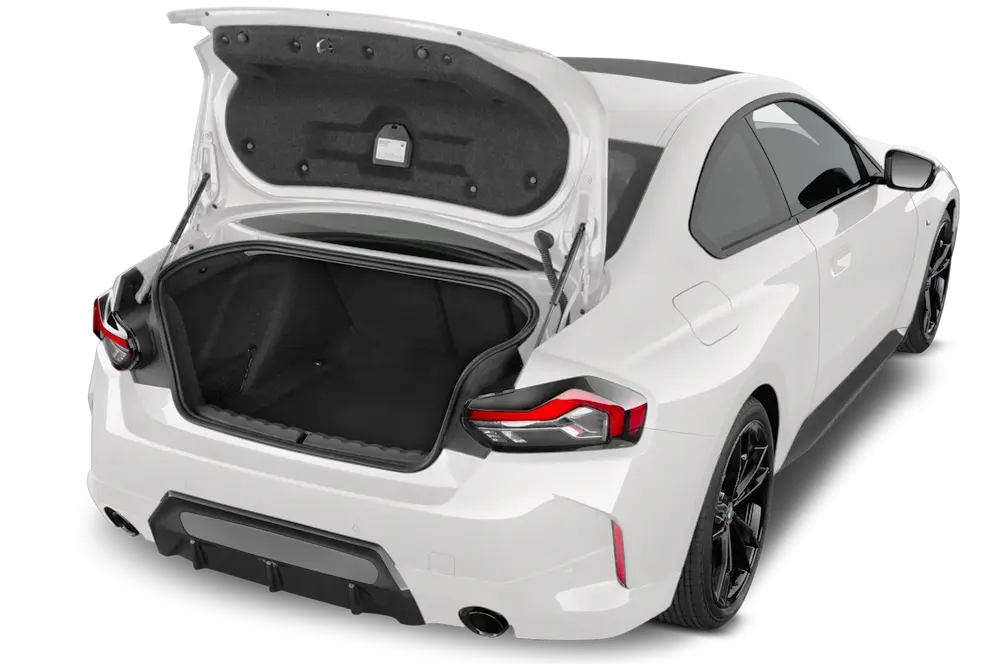 trunk