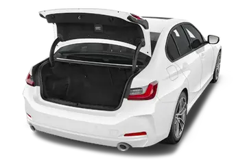 trunk