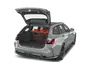 trunk