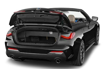 trunk