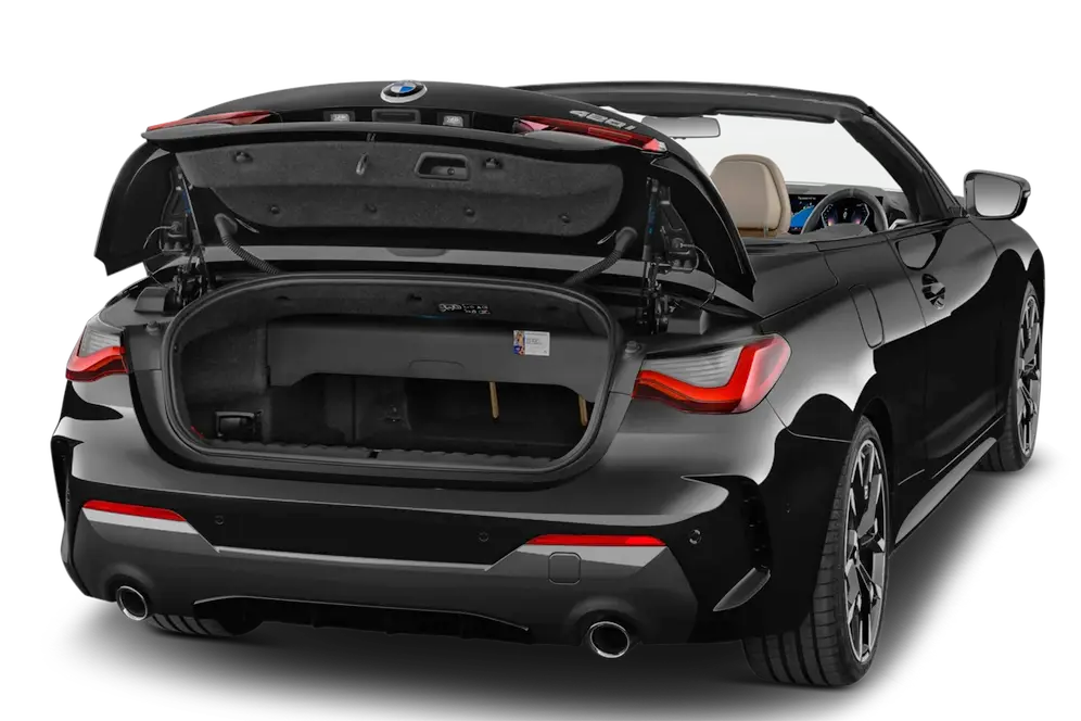 trunk