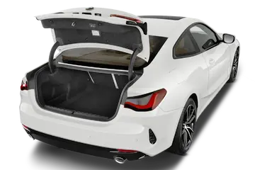 trunk