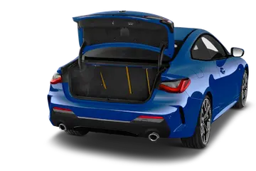 trunk