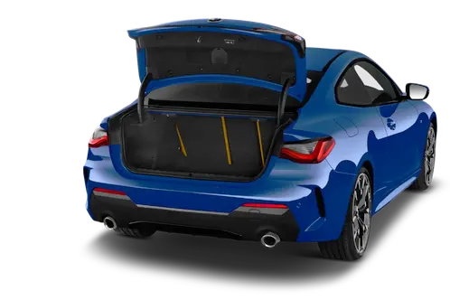 trunk