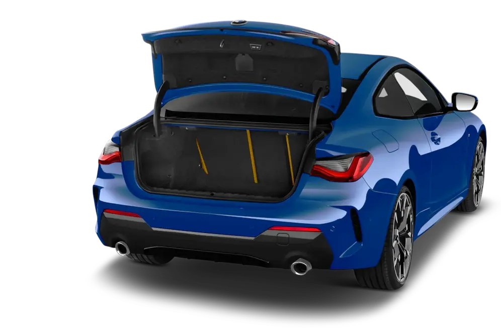 trunk