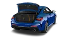 trunk