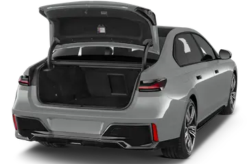 trunk