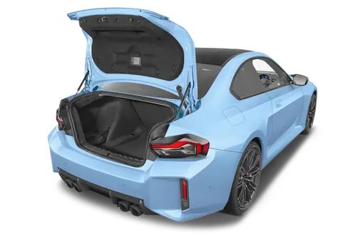 trunk