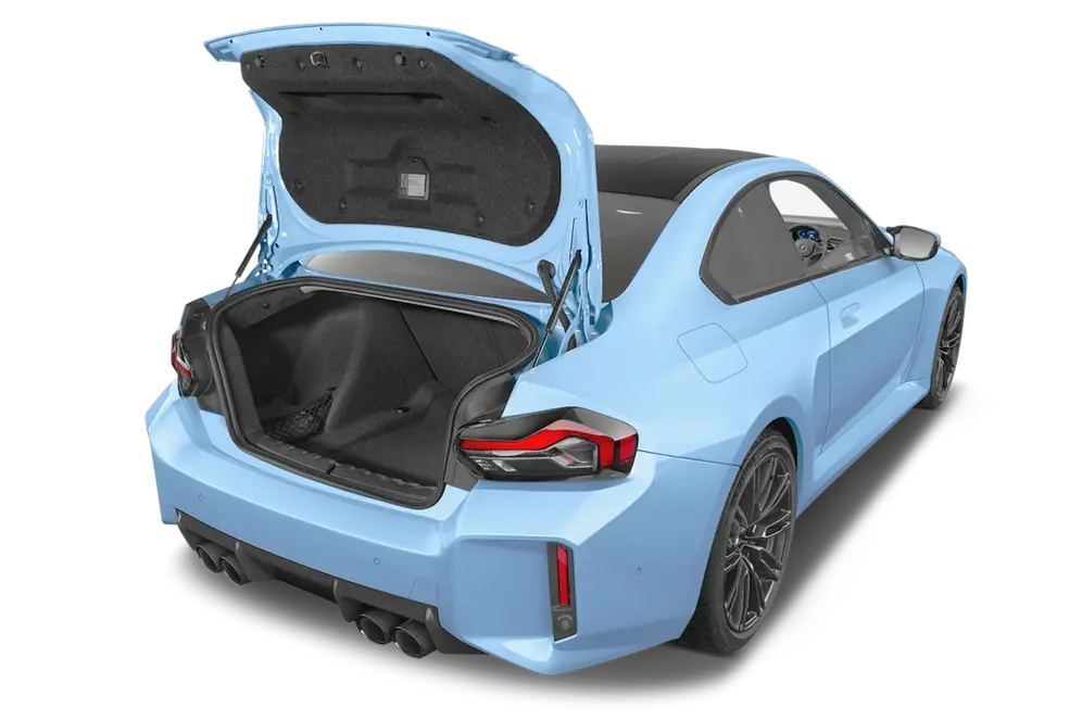 trunk