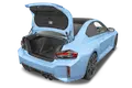trunk