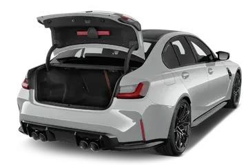 trunk