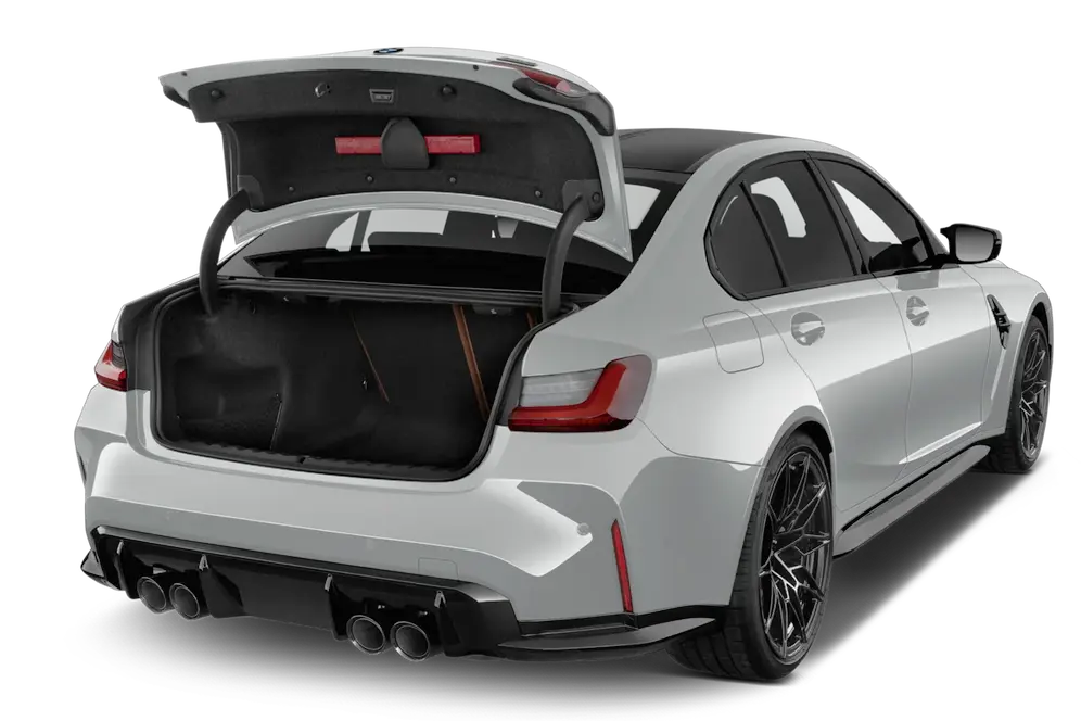 trunk