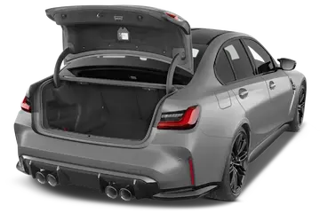 trunk
