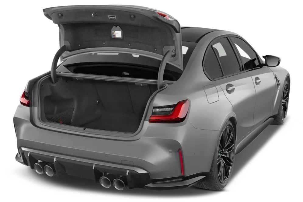 trunk