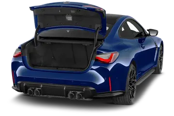 trunk