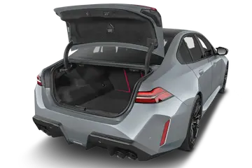trunk