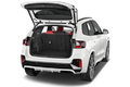 trunk