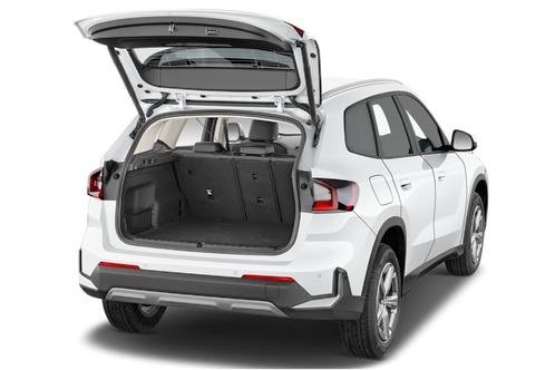 trunk