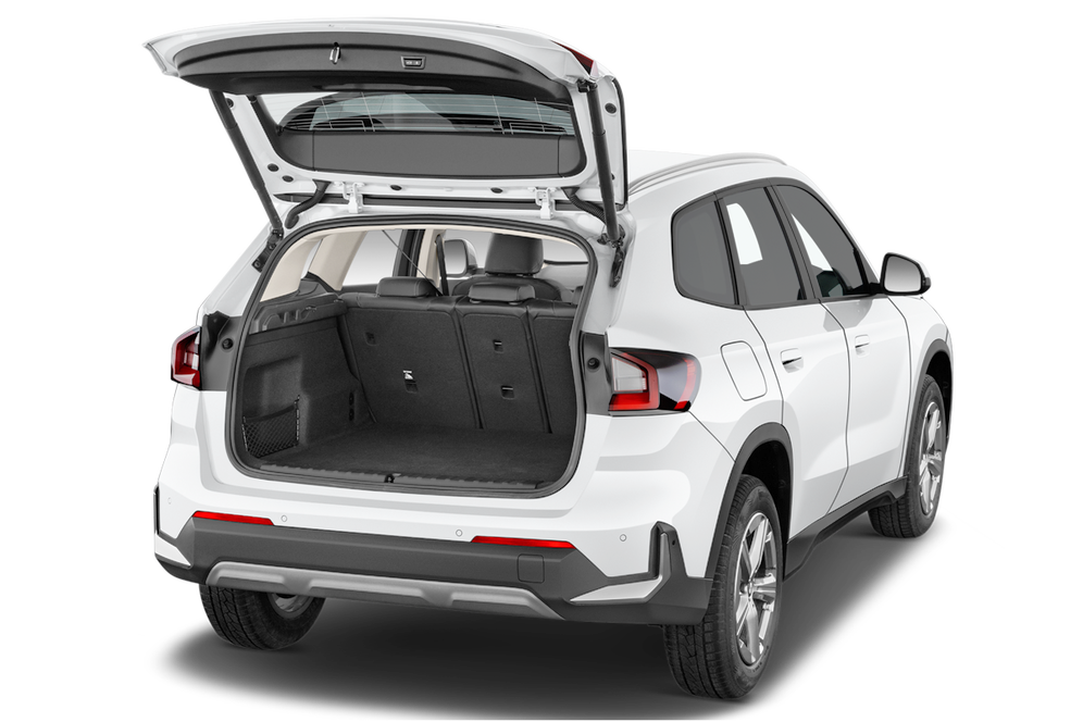 trunk