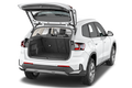 trunk