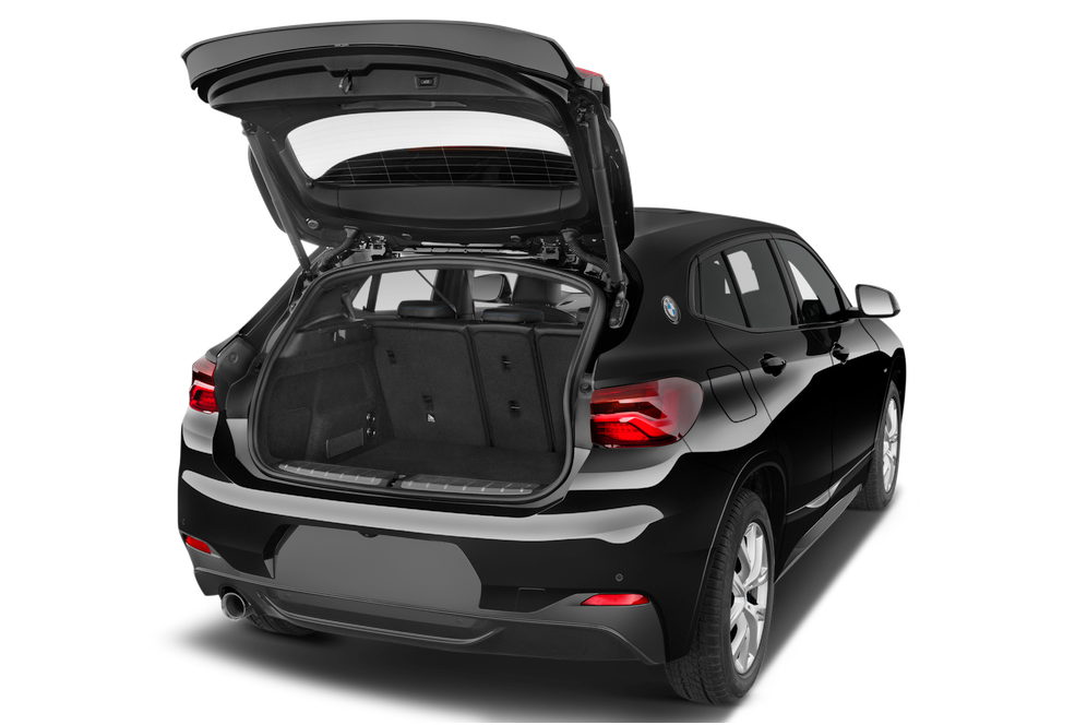 trunk