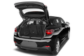 trunk