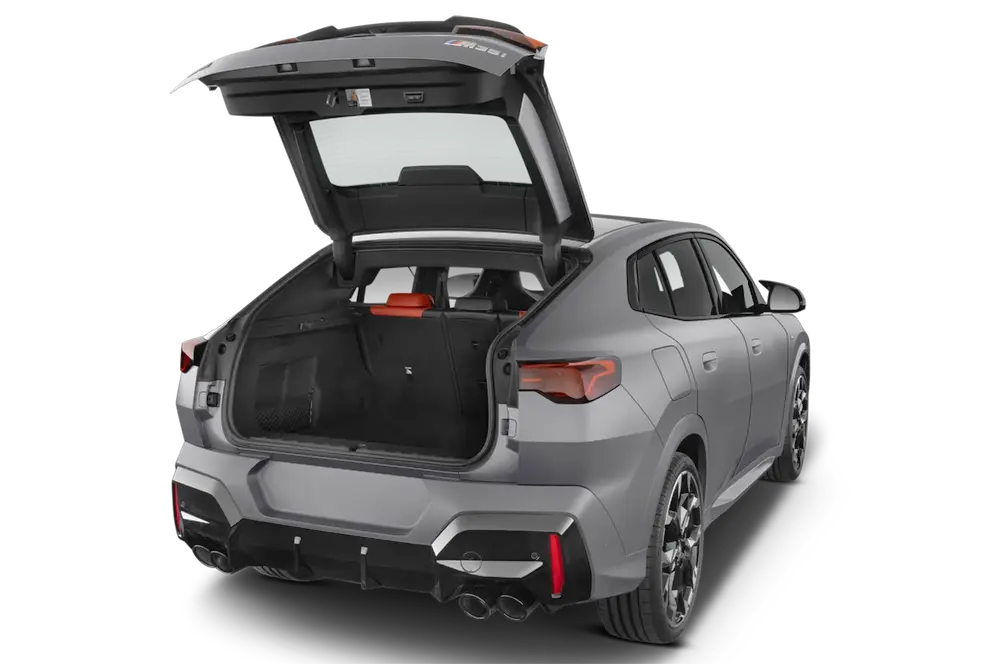 trunk
