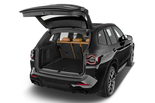 trunk