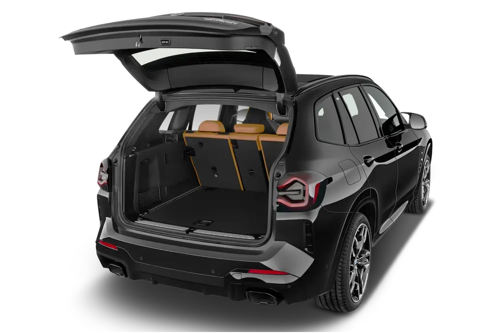 trunk