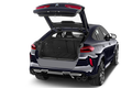 trunk