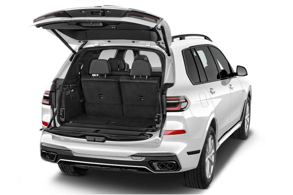 trunk