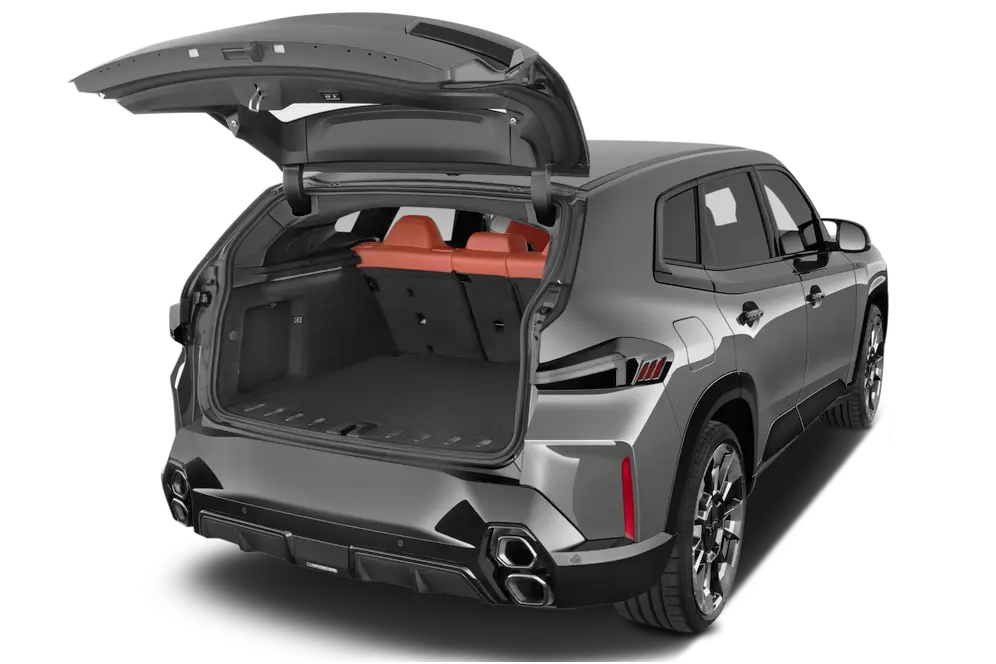 trunk