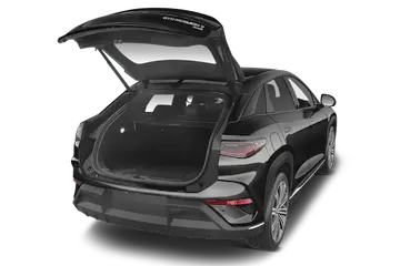 trunk