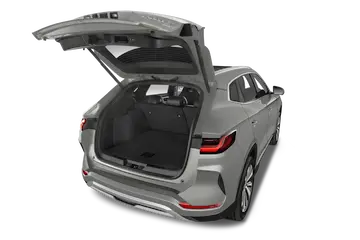 trunk